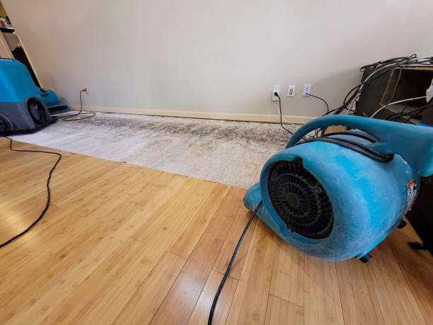 Professional Basement Flood Cleanup technician working in South Cle Elum, WA